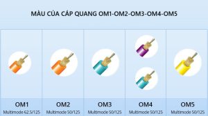 Cap quang Multimode OM1-OM2-OM3-OM4-OM5